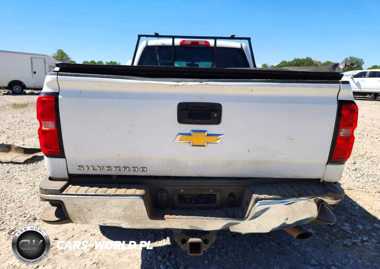 2019 Chevrolet Silverado K2500 Heavy Duty VIN:1GC1KREG1KF179030 - 6