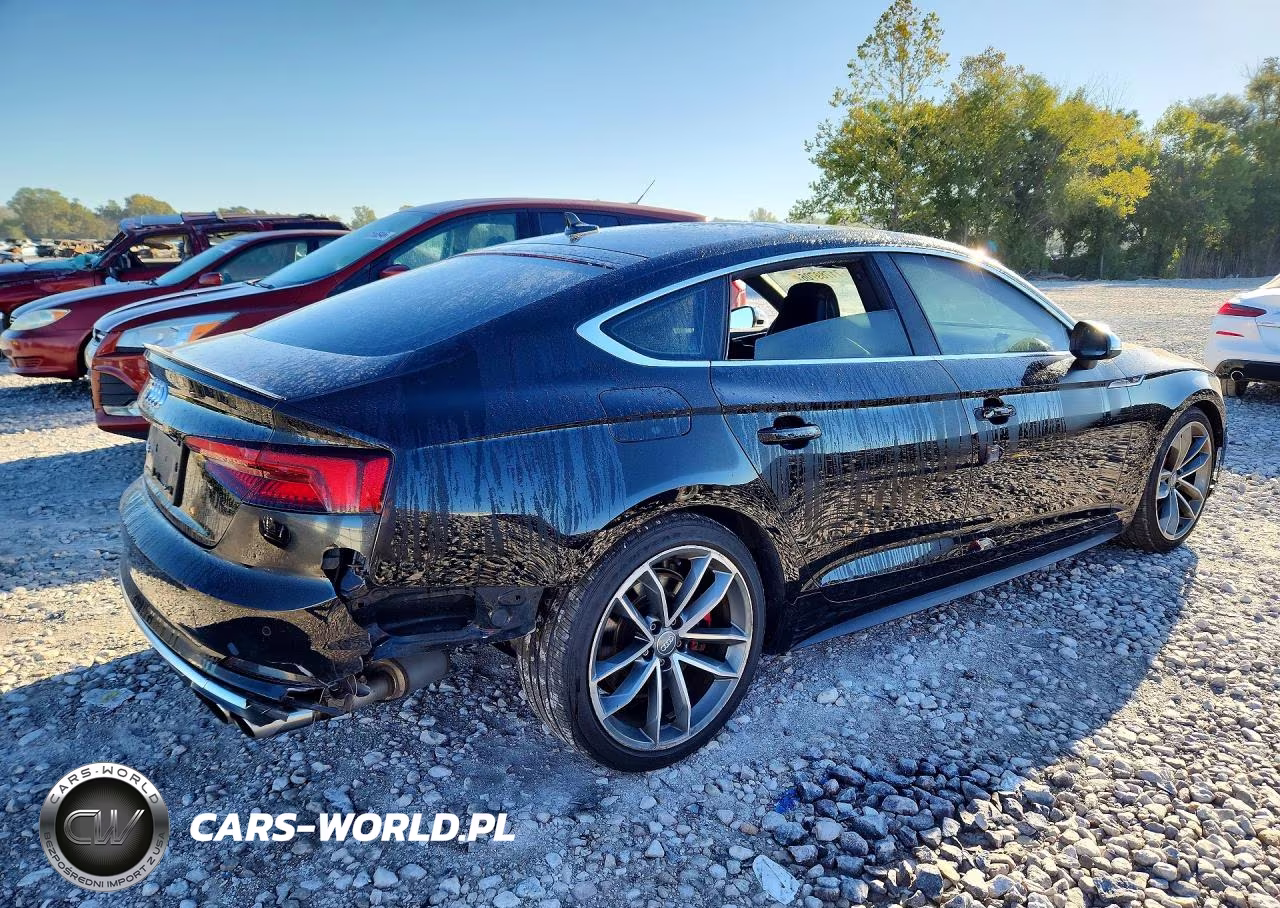 2019 Audi S5 Premium Plus VIN:WAUB4CF52KA069462 - 3