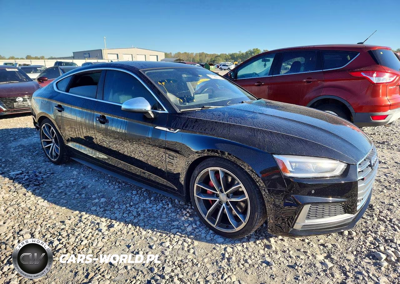 2019 Audi S5 Premium Plus VIN:WAUB4CF52KA069462 - 4