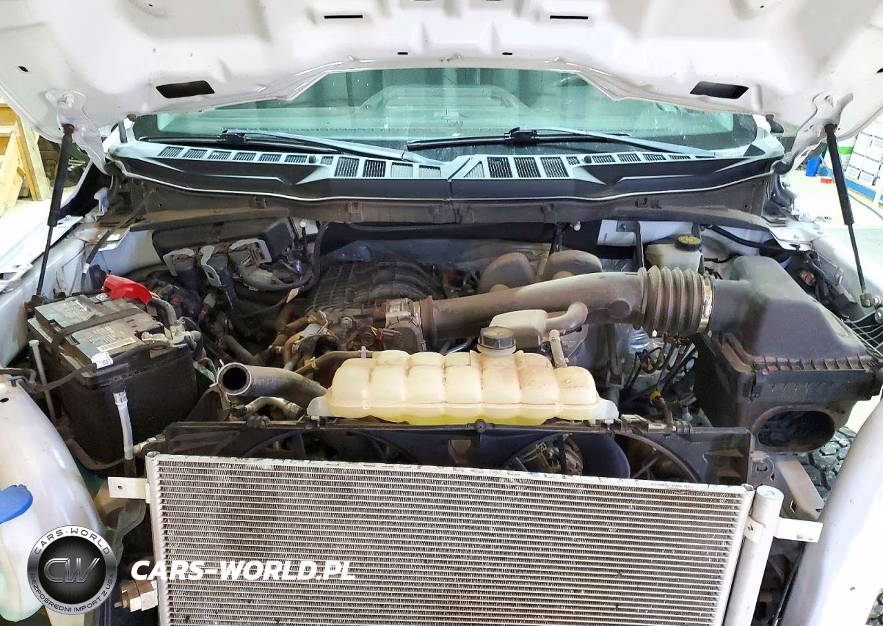 2023 Ford F150 VIN:1FTMF1EB9PKE30186 - 11