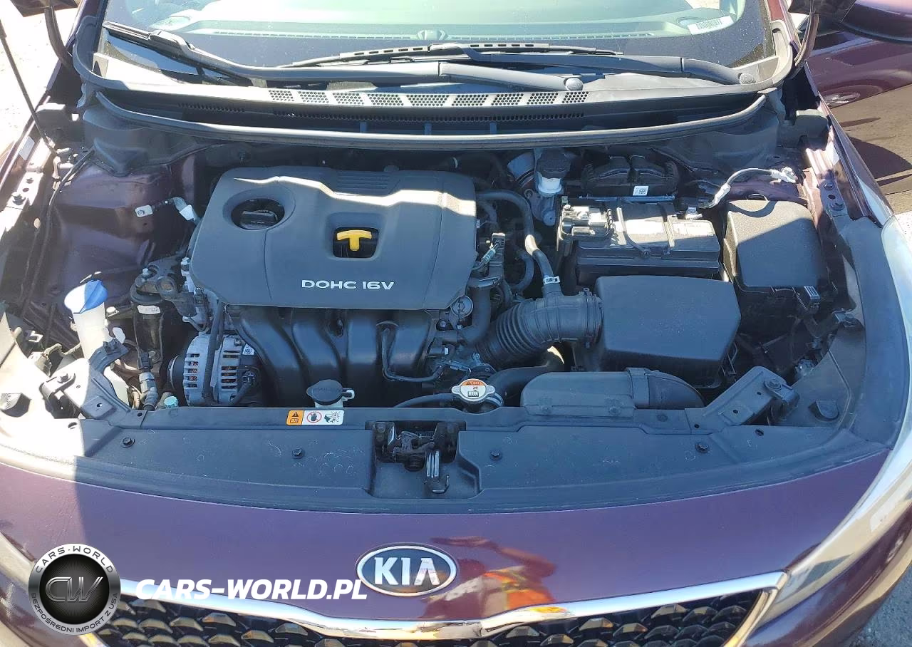 2018 Kia Forte Lx VIN:3KPFK4A7XJE254931 - 11