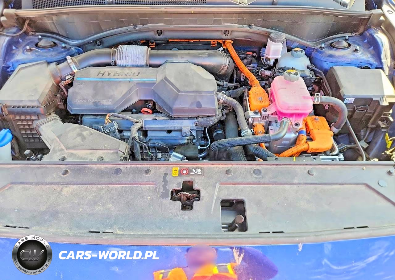 2023 Hyundai Santa Fe Limited VIN:5NMS5DA16PH004640 - 12
