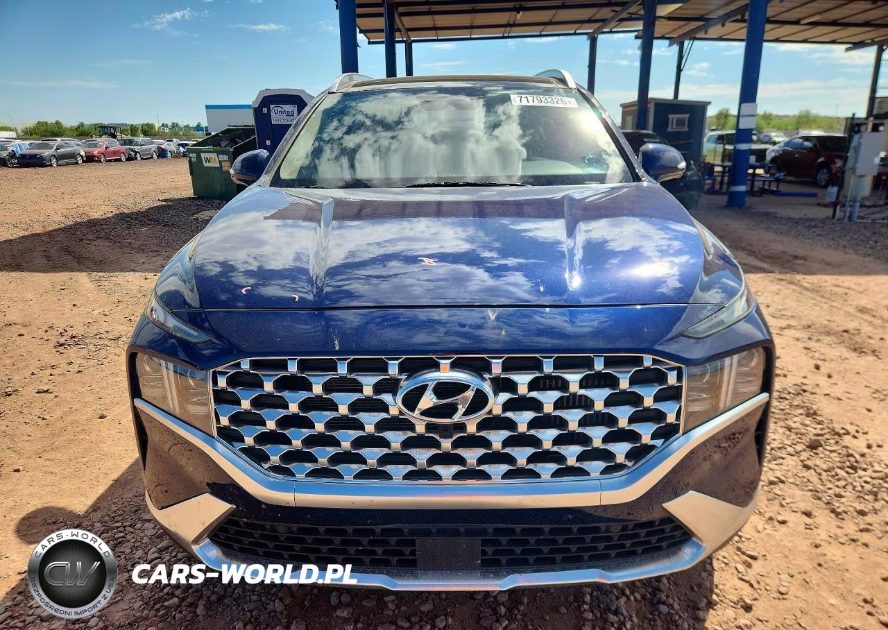 2023 Hyundai Santa Fe Limited VIN:5NMS5DA16PH004640 - 5