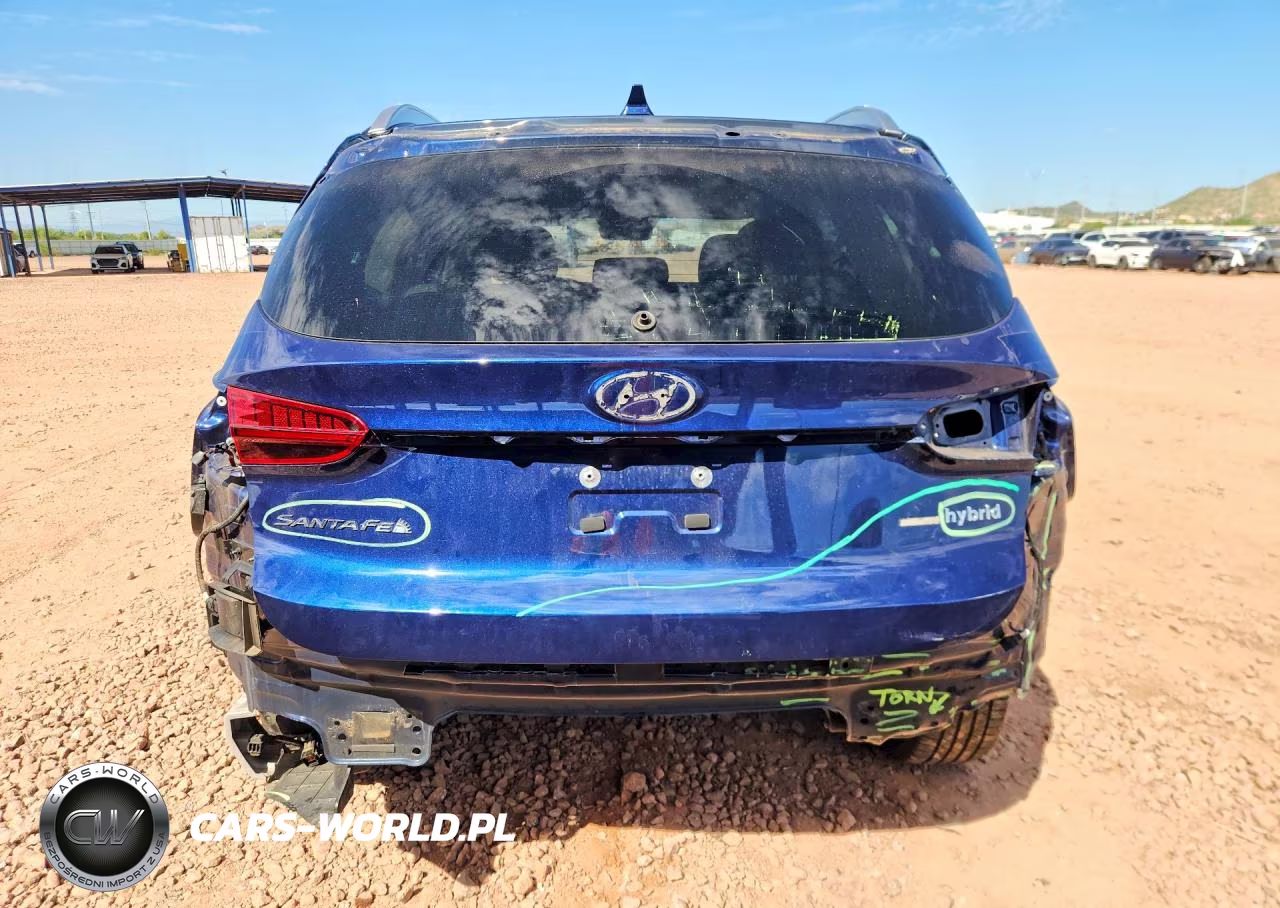 2023 Hyundai Santa Fe Limited VIN:5NMS5DA16PH004640 - 6