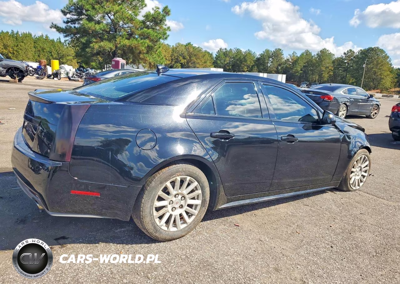 2010 Cadillac Cts Luxury Collection VIN:1G6DE5EG5A0129118 - 3