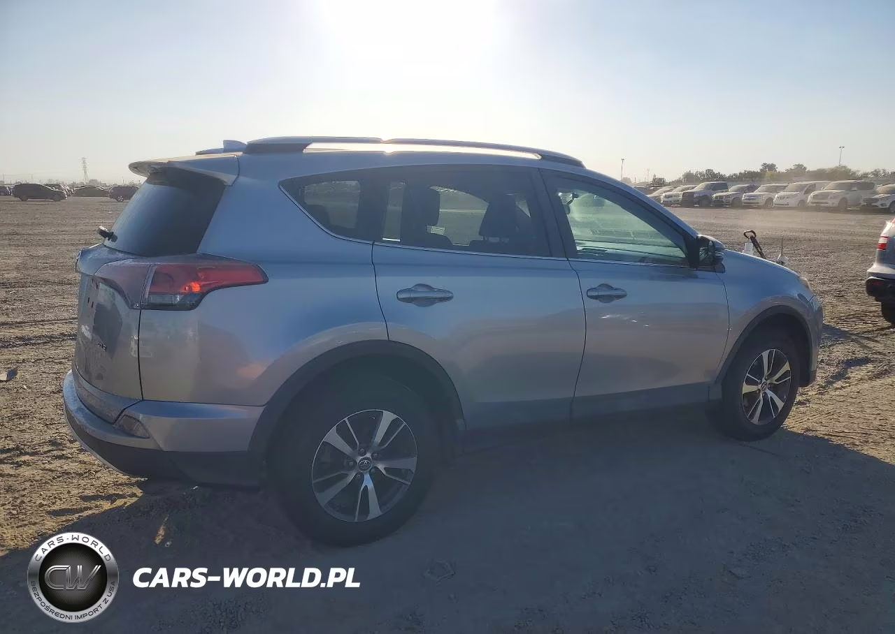 2016 Toyota Rav4 Xle VIN:2T3WFREV3GW247309 - 3