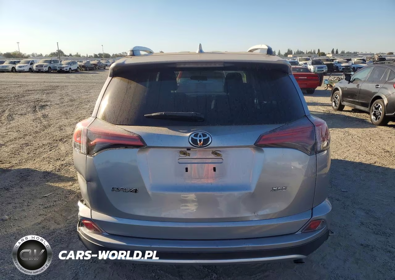 2016 Toyota Rav4 Xle VIN:2T3WFREV3GW247309 - 6