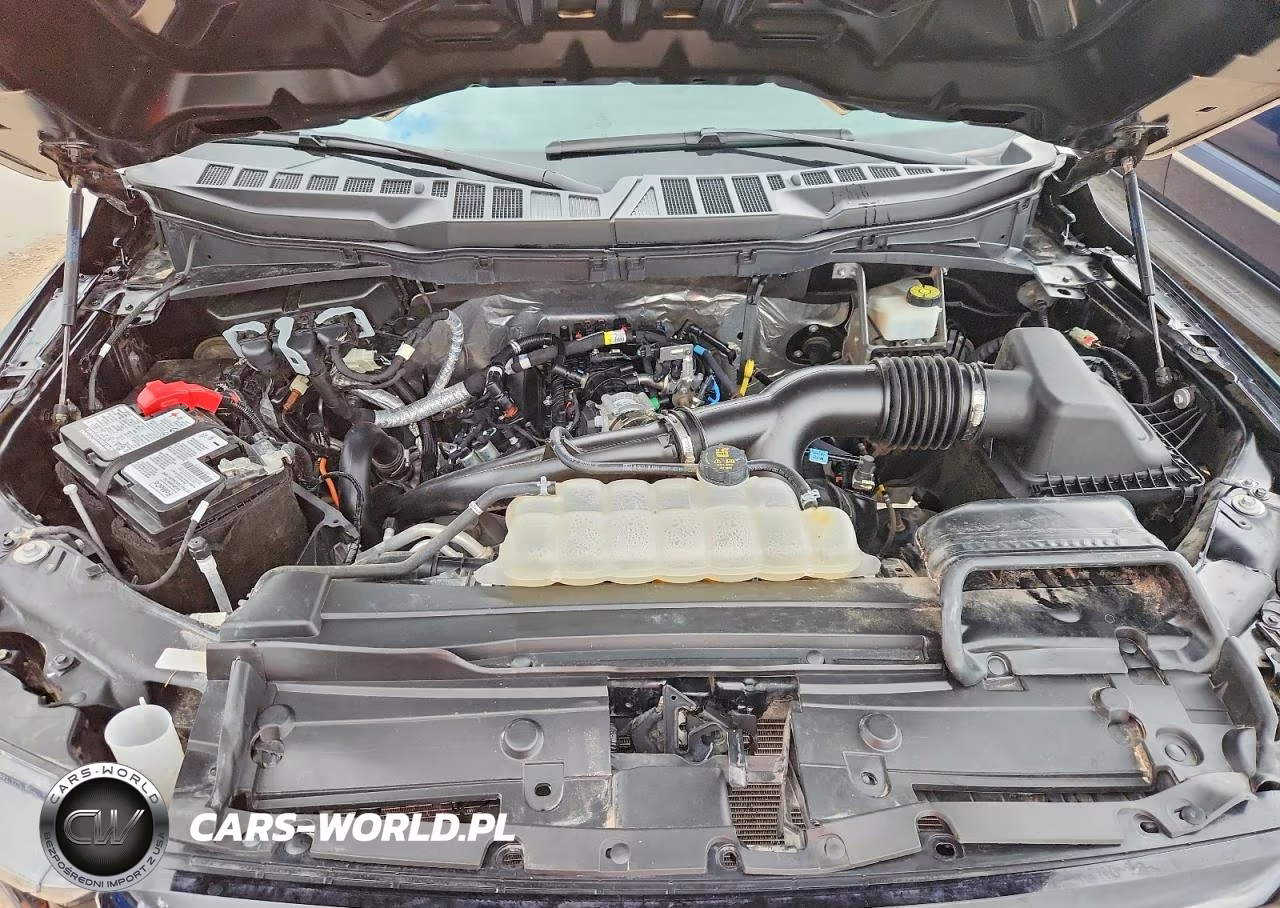 2023 Ford F-150 Xl VIN:1FTEW1CP3PKG06541 - 11