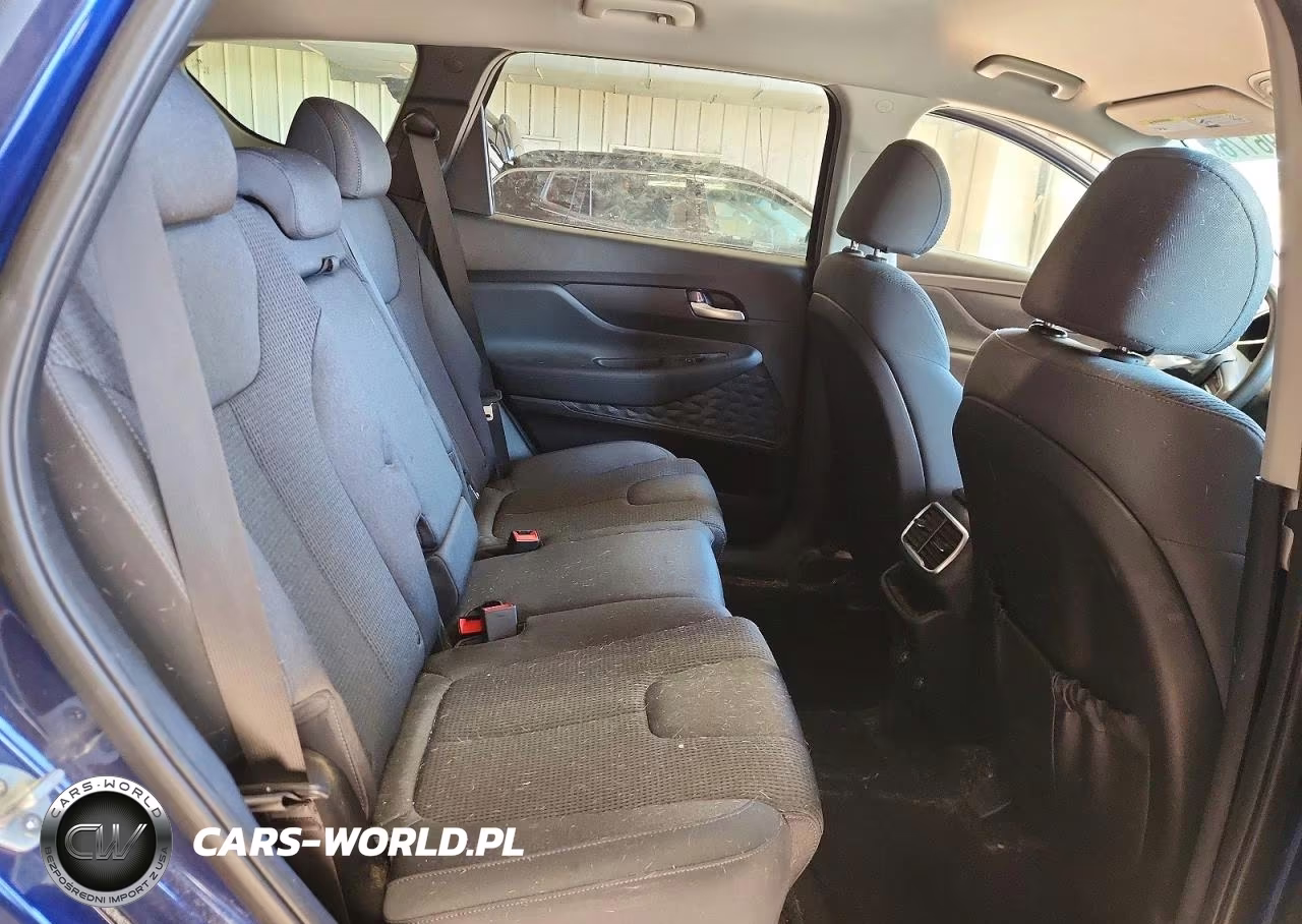 2019 Hyundai Santa Fe Sel 2.4L VIN:5NMS3CAD7KH072898 - 11