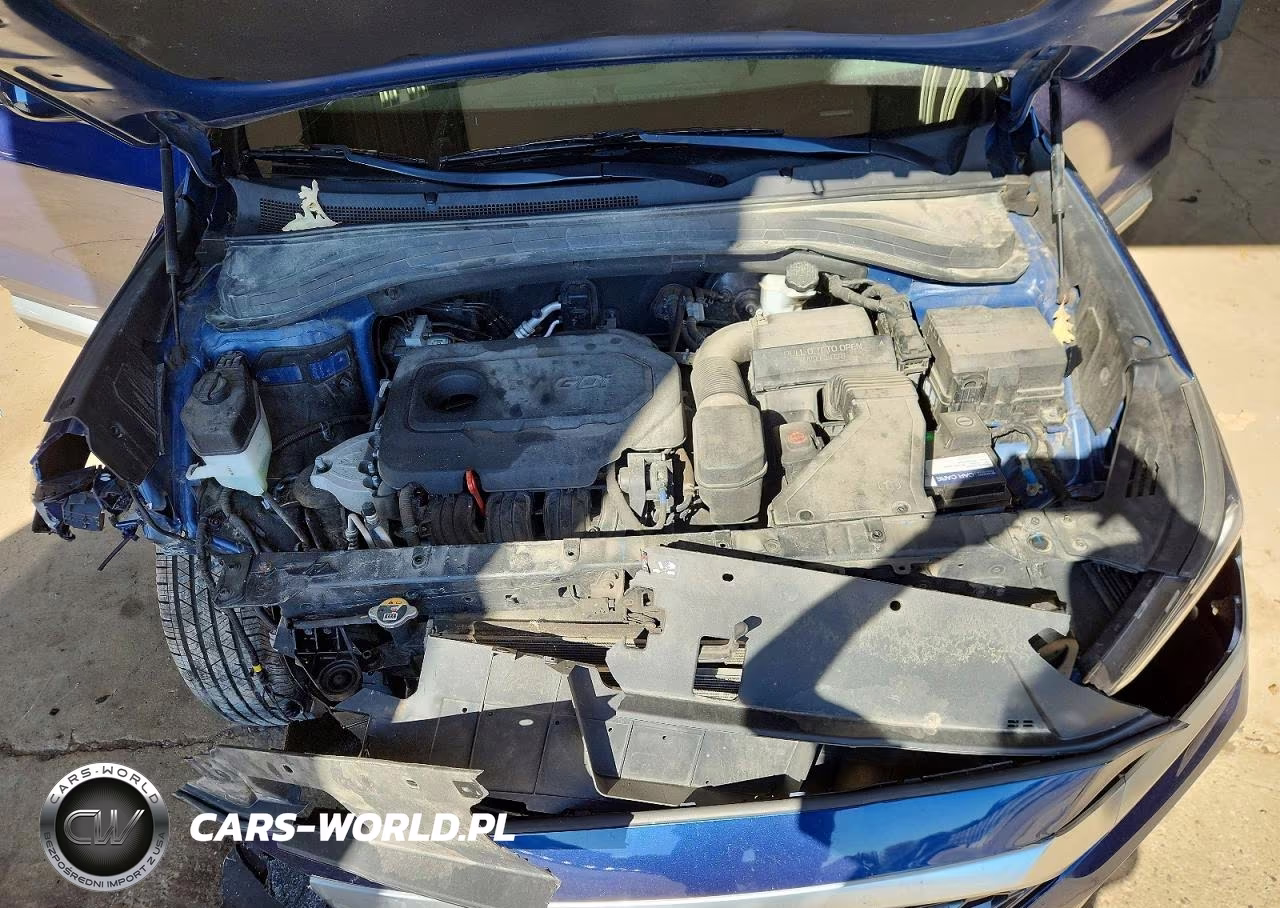 2019 Hyundai Santa Fe Sel 2.4L VIN:5NMS3CAD7KH072898 - 12