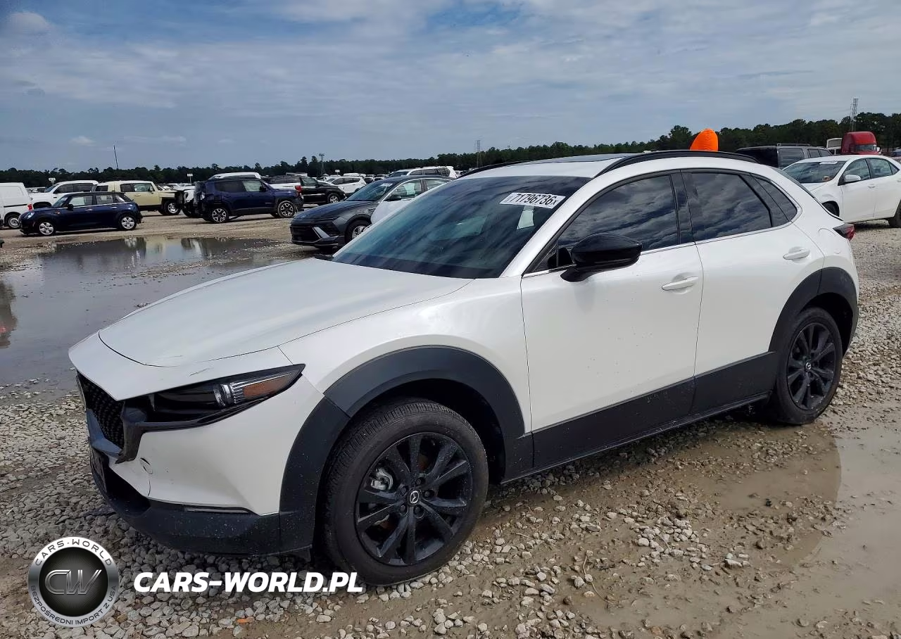 2025 Mazda Cx-30 2.5 Turbo Premium Package VIN:3MVDMBDY0SM785023 - 1