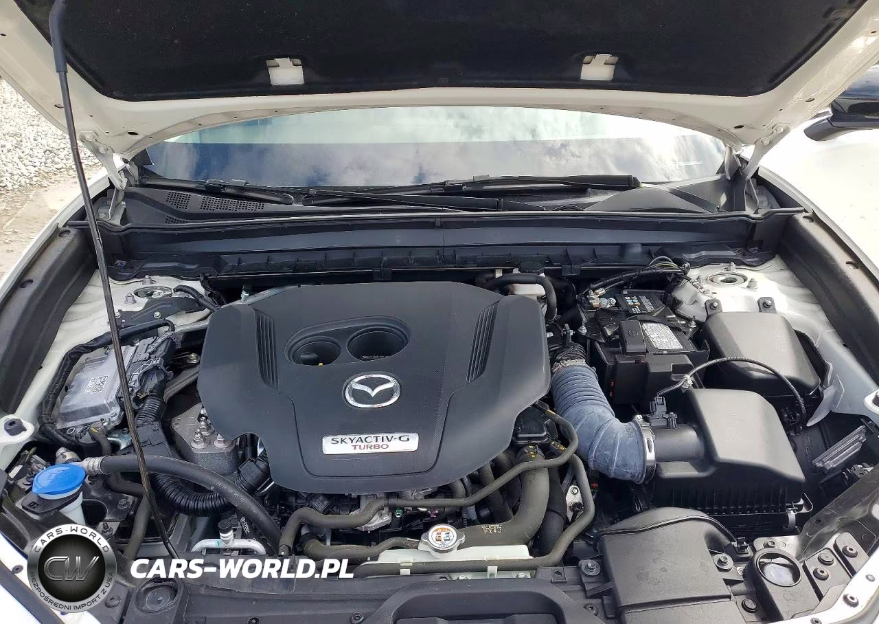 2025 Mazda Cx-30 2.5 Turbo Premium Package VIN:3MVDMBDY0SM785023 - 12