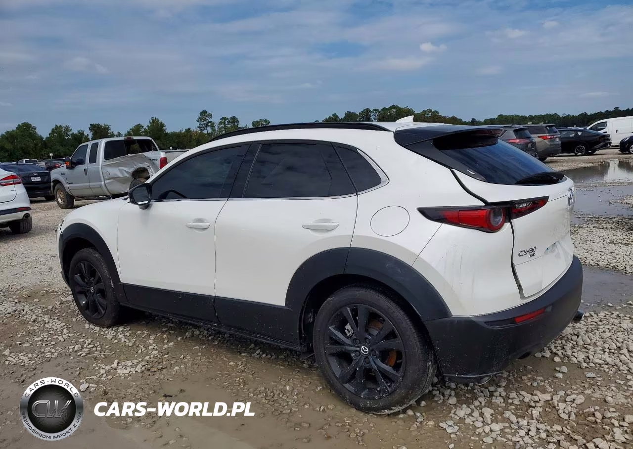 2025 Mazda Cx-30 2.5 Turbo Premium Package VIN:3MVDMBDY0SM785023 - 2