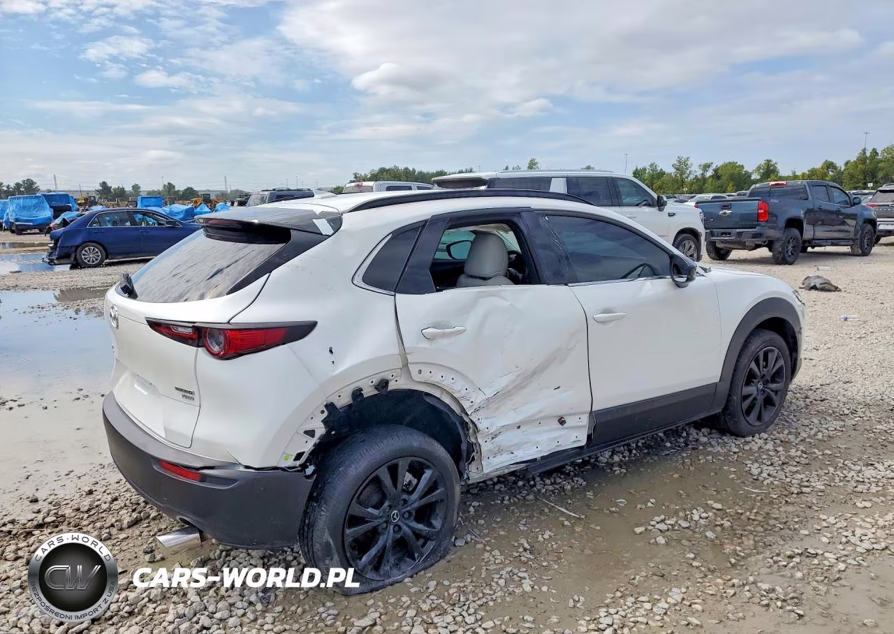 2025 Mazda Cx-30 2.5 Turbo Premium Package VIN:3MVDMBDY0SM785023 - 3