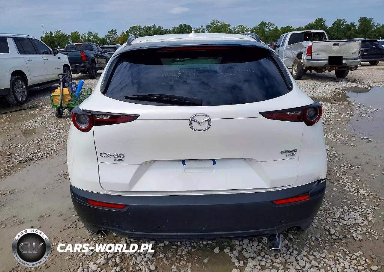 2025 Mazda Cx-30 2.5 Turbo Premium Package VIN:3MVDMBDY0SM785023 - 6