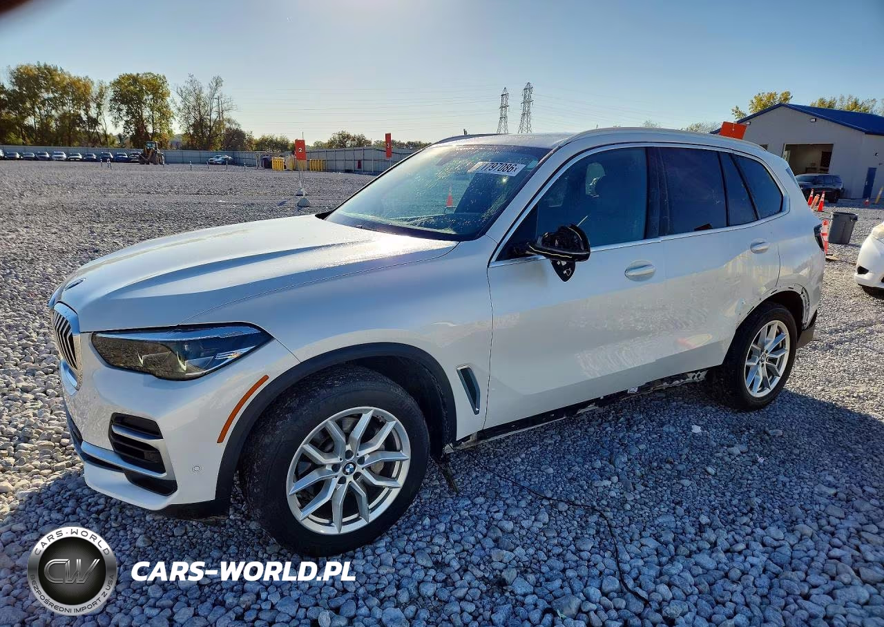 2023 BMW X5 xDrive40I VIN:5UXCR6C01P9P79706 - 1