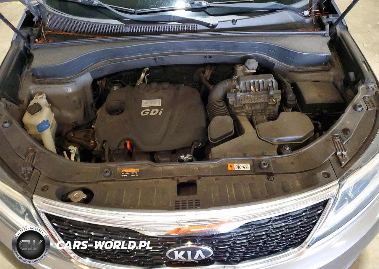 2014 Kia Sorento Lx VIN:5XYKTCA60EG506224 - 12