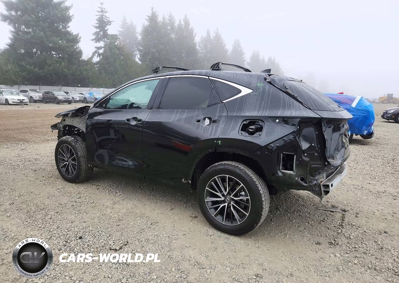 2025 Lexus Nx350 VIN:JTJGKCEZ1S5026594 - 2