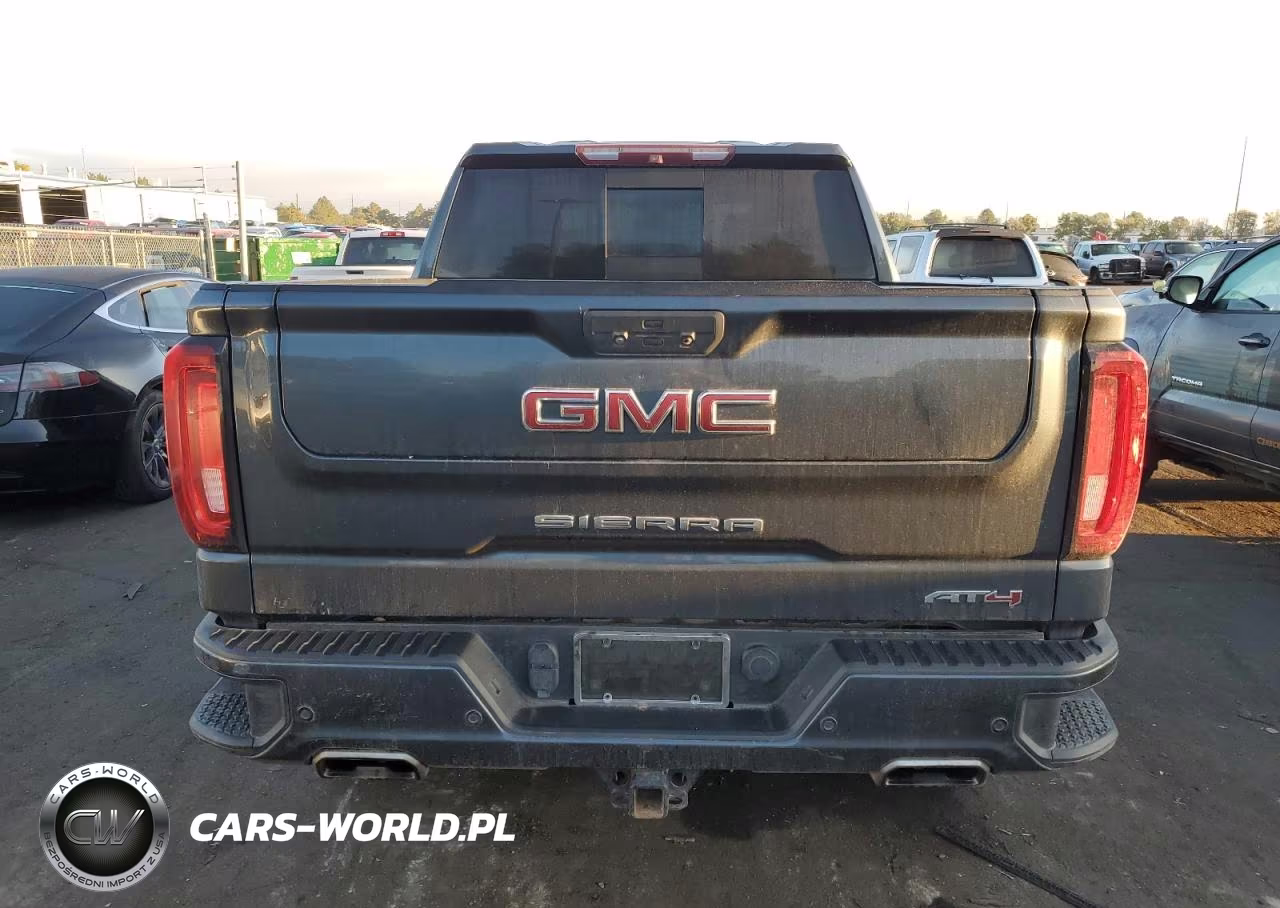 2019 GMC Sierra K1500 At4 VIN:3GTP9EEL5KG300071 - 6