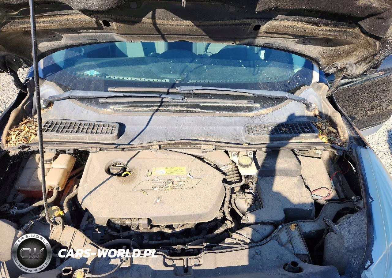 2013 Ford Escape Se VIN:1FMCU9GX7DUD78660 - 12
