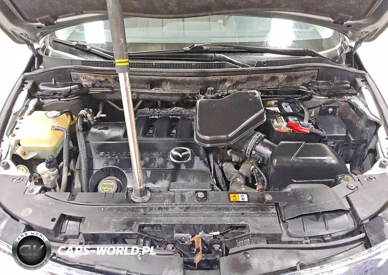 2010 Mazda Cx-9 VIN:JM3TB3MVXA0219247 - 11