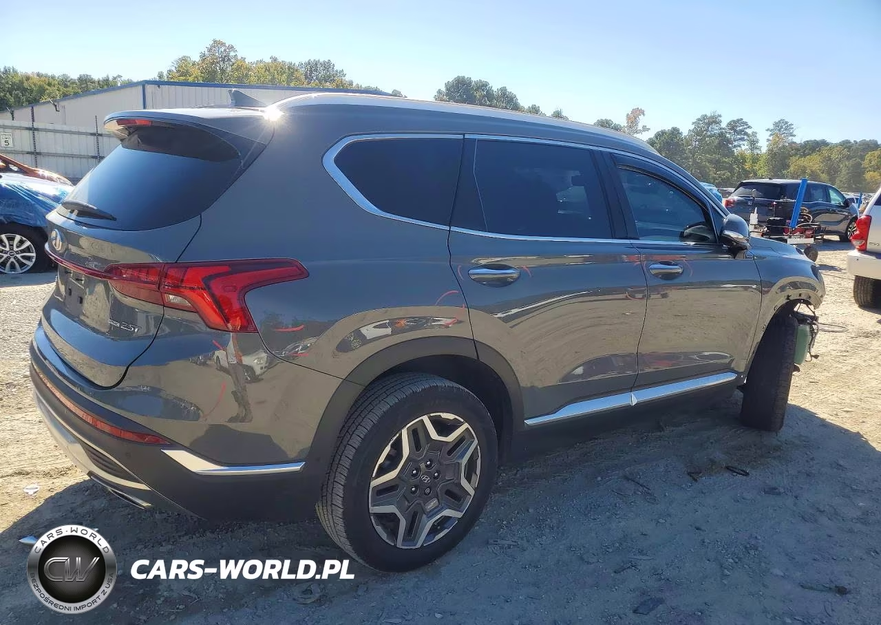 2023 Hyundai Santa Fe Limited VIN:5NMS4DAL0PH484047 - 3