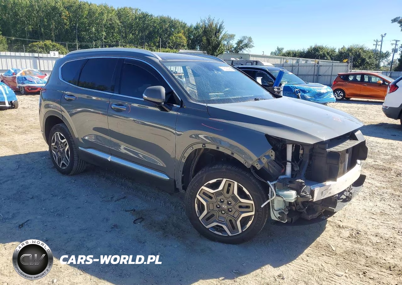 2023 Hyundai Santa Fe Limited VIN:5NMS4DAL0PH484047 - 4