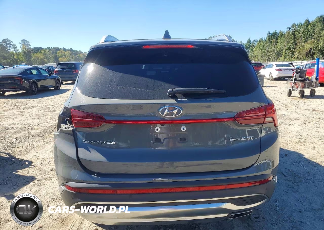2023 Hyundai Santa Fe Limited VIN:5NMS4DAL0PH484047 - 6