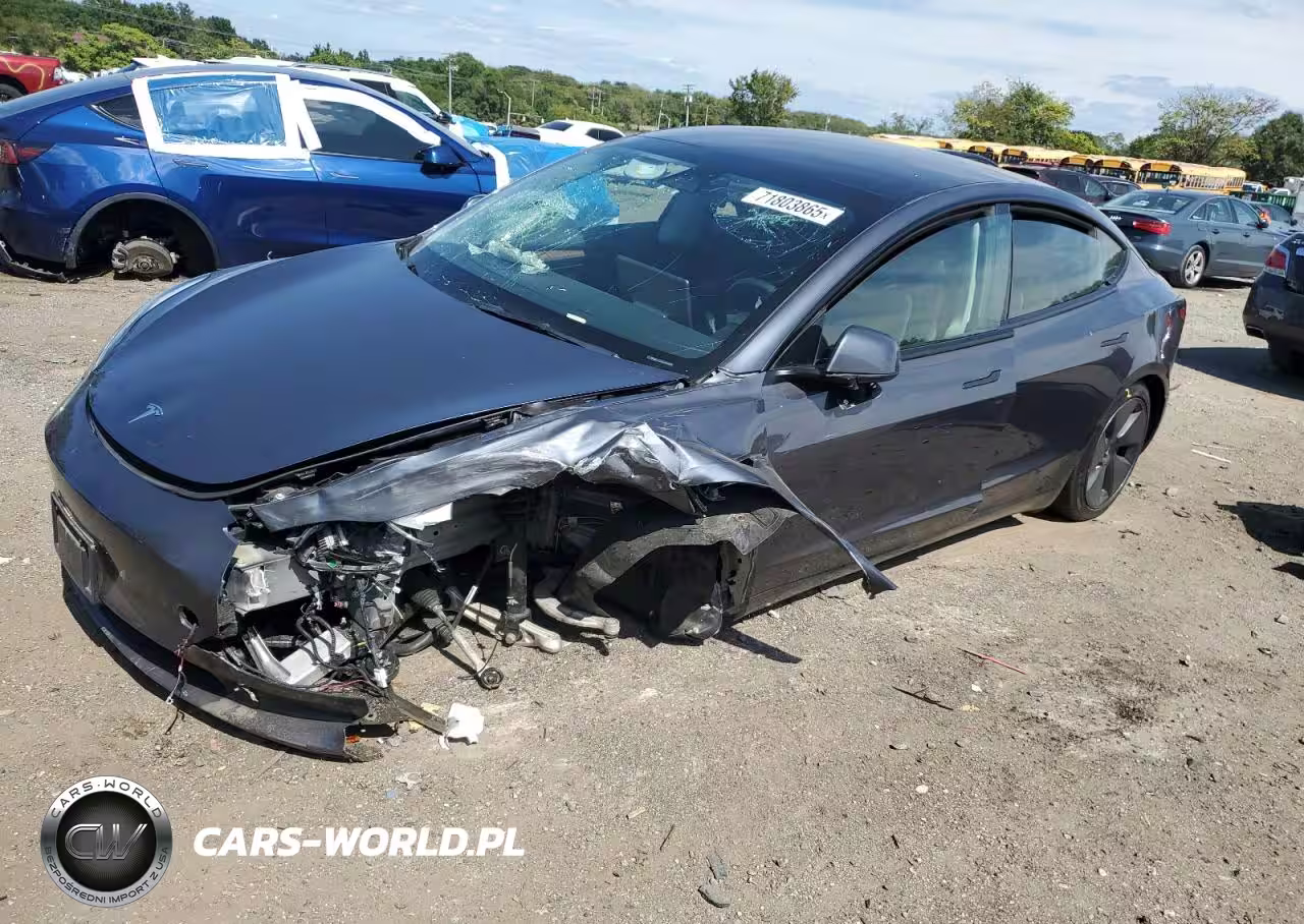 2023 Tesla Model 3