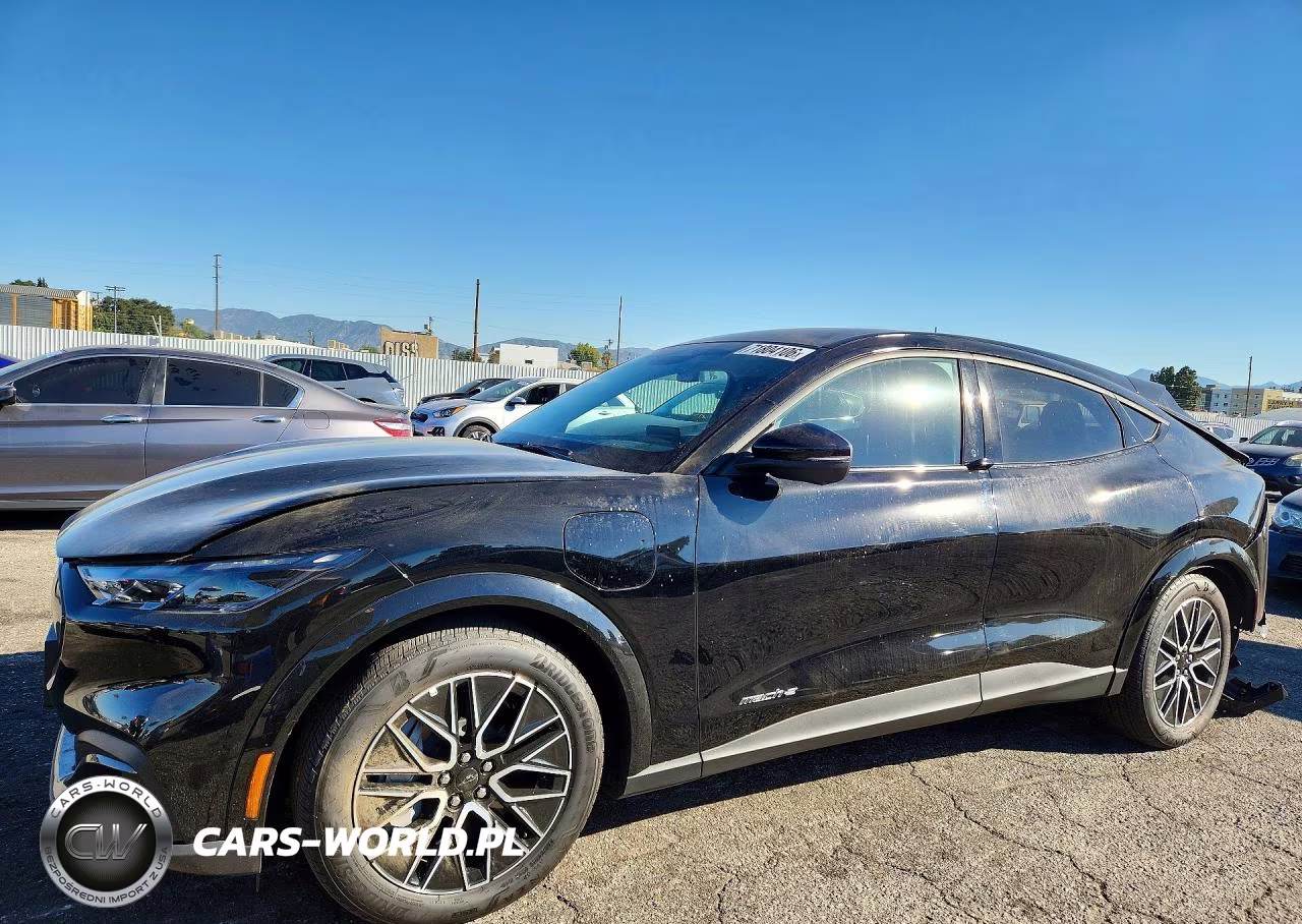 2025 Ford Mustang Mach-E Premium VIN:3FMTK3R71SMA25414 - 1