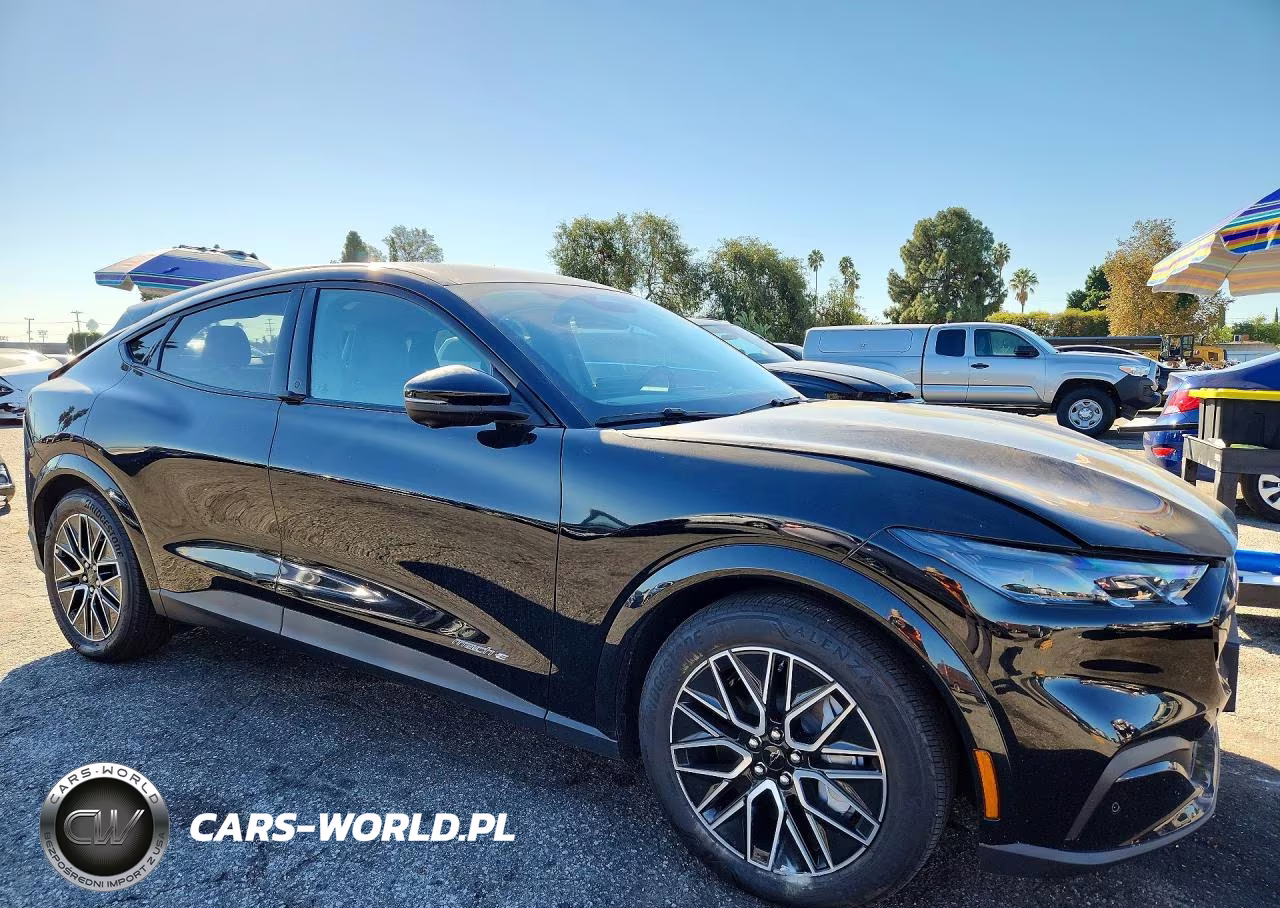 2025 Ford Mustang Mach-E Premium VIN:3FMTK3R71SMA25414 - 4