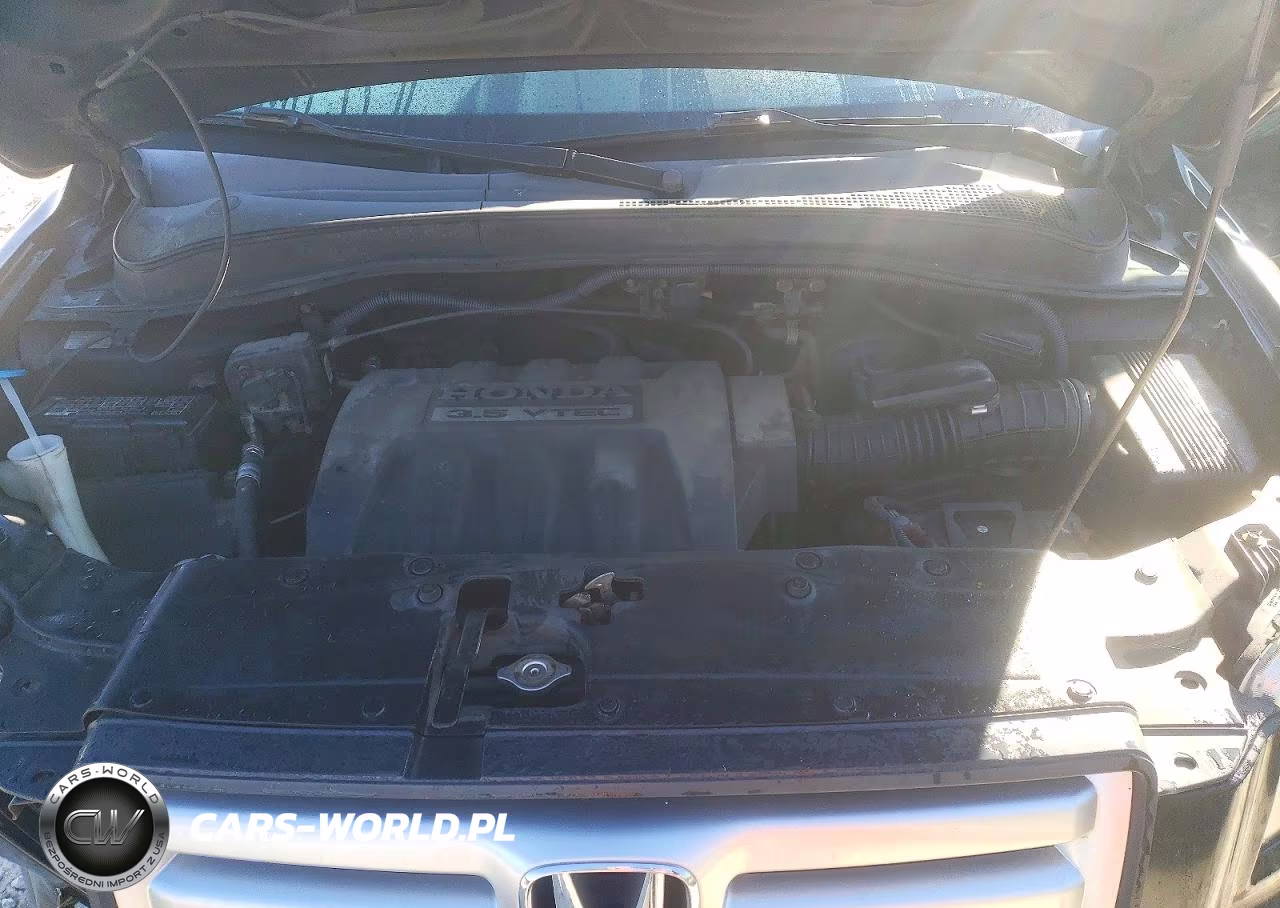 2007 Honda Pilot Exl VIN:5FNYF18547B022800 - 12