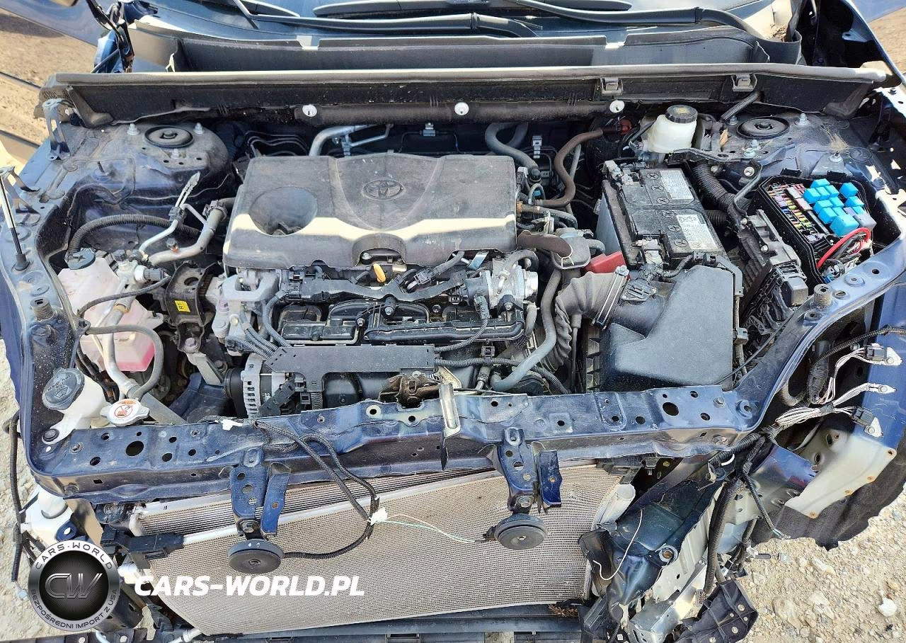 2024 Toyota Rav4 Xle Premium VIN:2T3C1RFV1RW329526 - 12