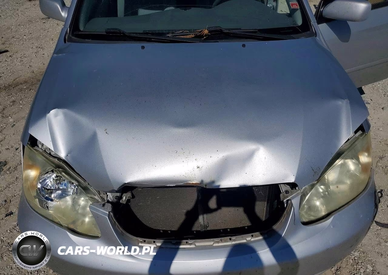 2005 Toyota Corolla Le VIN:1NXBR32E25Z499808 - 11