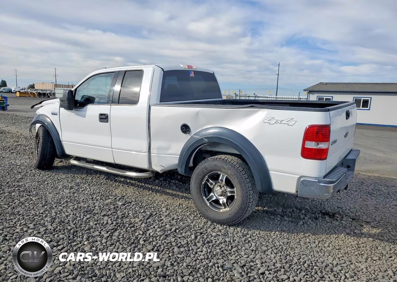 2004 Ford F150 VIN:1FTPX14594NB80481 - 2