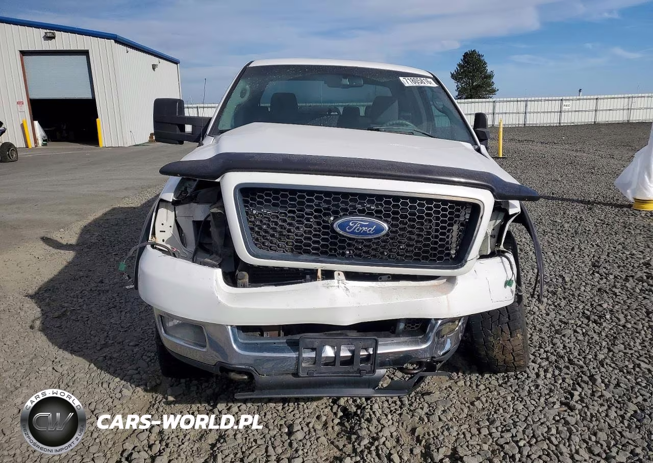2004 Ford F150 VIN:1FTPX14594NB80481 - 5
