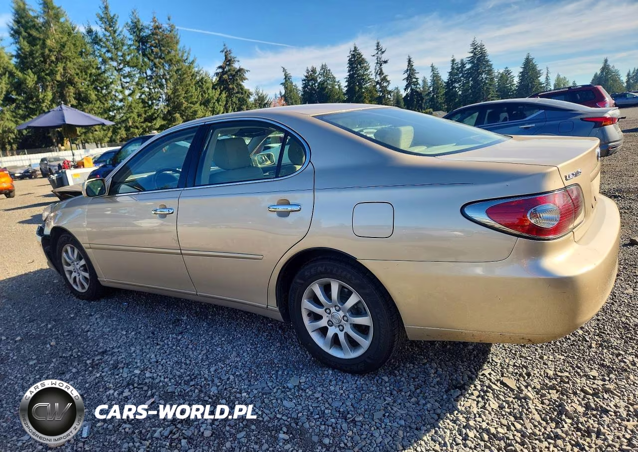 2004 Lexus Es 330 VIN:JTHBA30G045033592 - 2