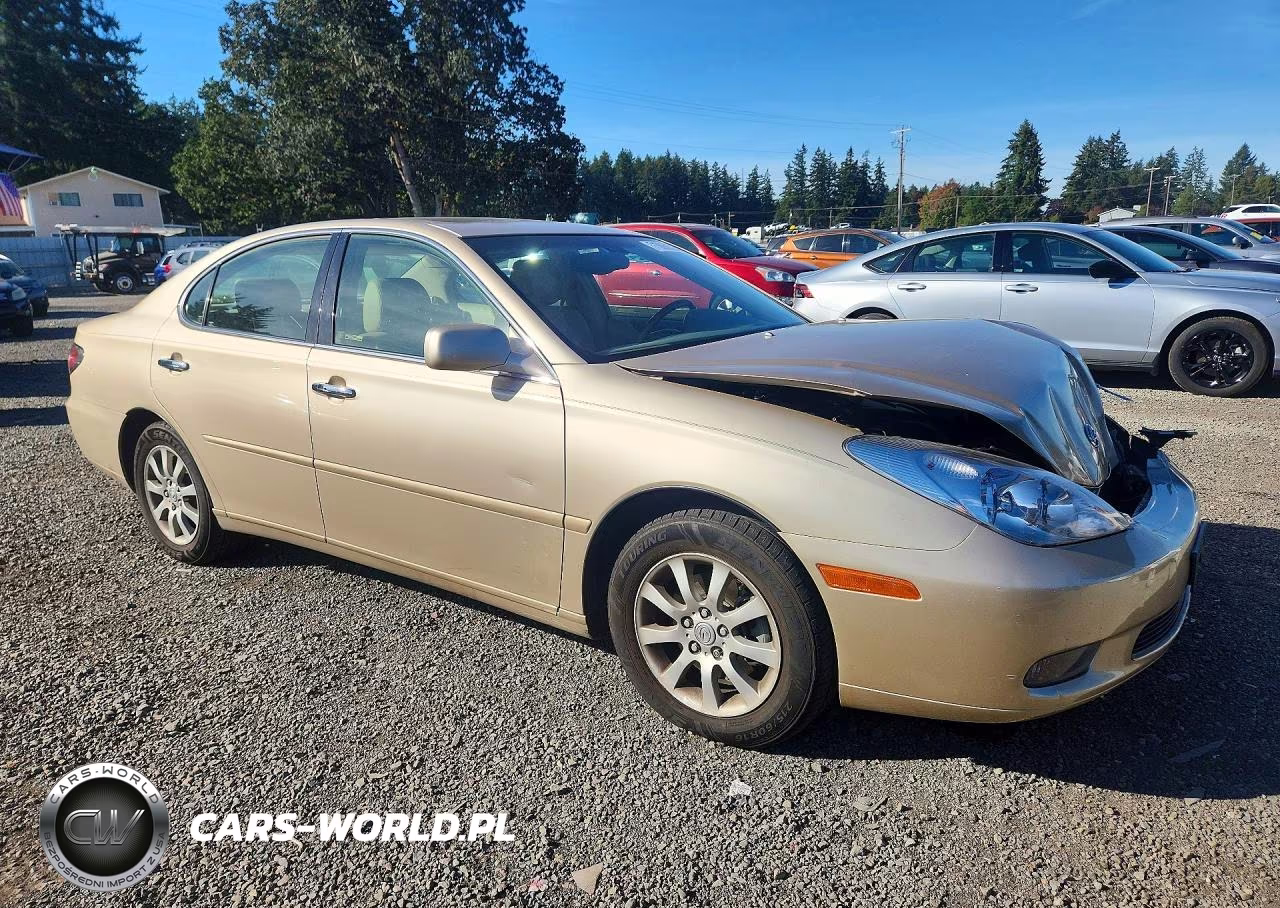 2004 Lexus Es 330 VIN:JTHBA30G045033592 - 4
