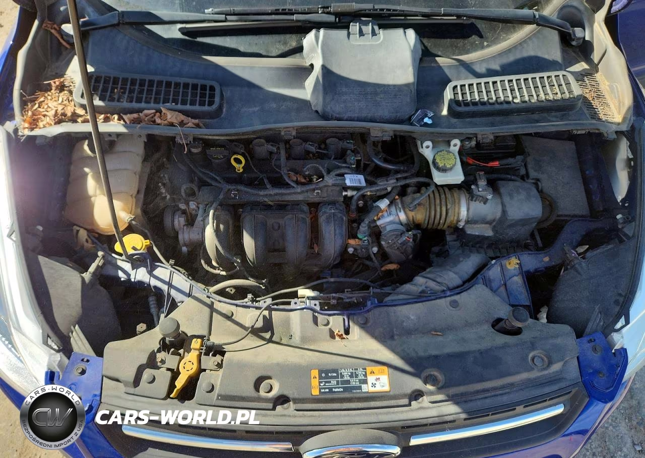 2015 Ford Escape Se VIN:1FMCU0G70FUA01876 - 12