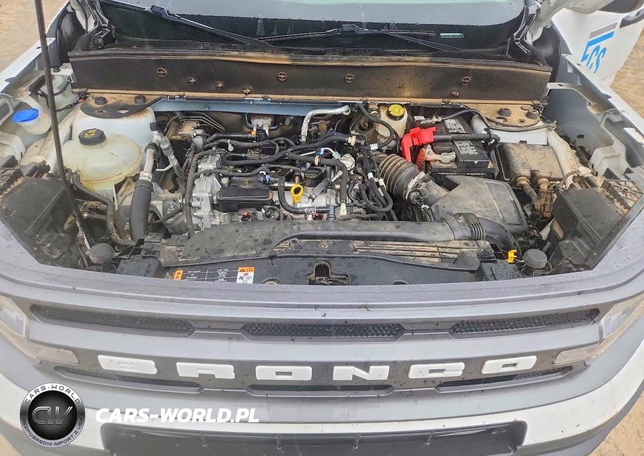2023 Ford Bronco Sport Big Bend VIN:3FMCR9B66PRD71565 - 12