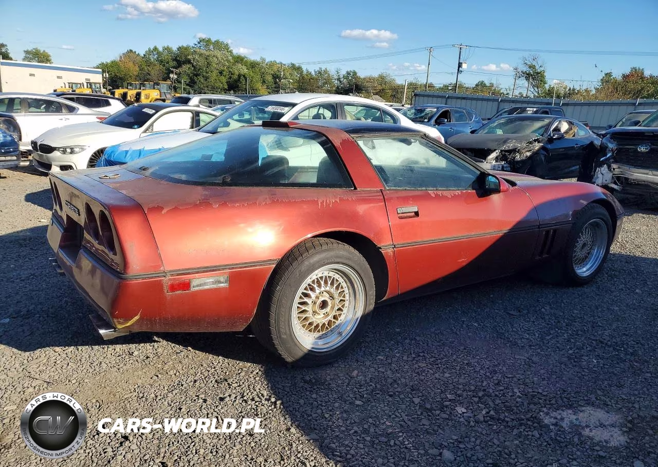 1987 Chevrolet Corvette VIN:1G1YY2188H5100219 - 3