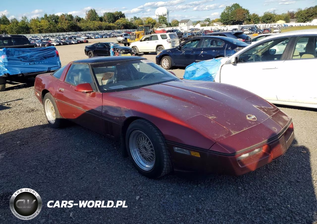 1987 Chevrolet Corvette VIN:1G1YY2188H5100219 - 4
