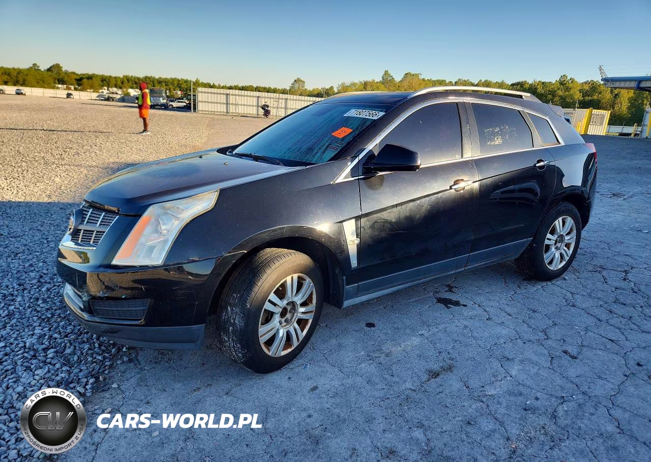 2010 Cadillac Srx Luxury Collection VIN:3GYFNAEY6AS573909 - 1