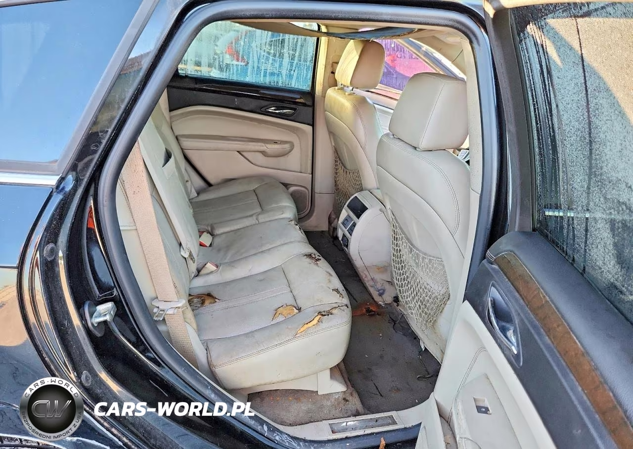 2010 Cadillac Srx Luxury Collection VIN:3GYFNAEY6AS573909 - 11