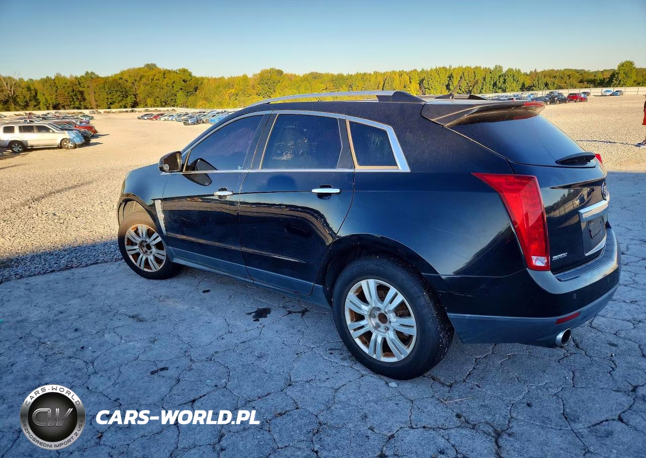 2010 Cadillac Srx Luxury Collection VIN:3GYFNAEY6AS573909 - 2