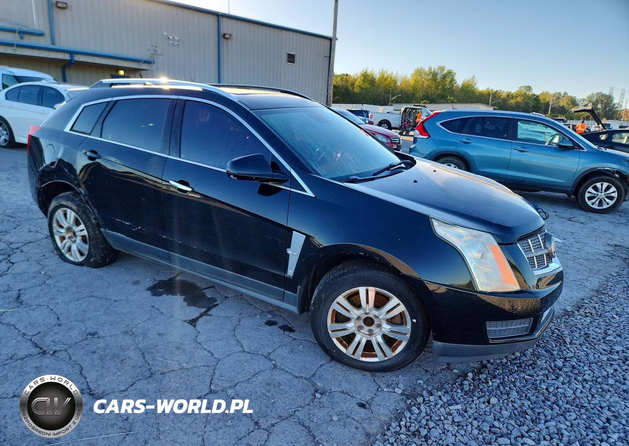 2010 Cadillac Srx Luxury Collection VIN:3GYFNAEY6AS573909 - 4