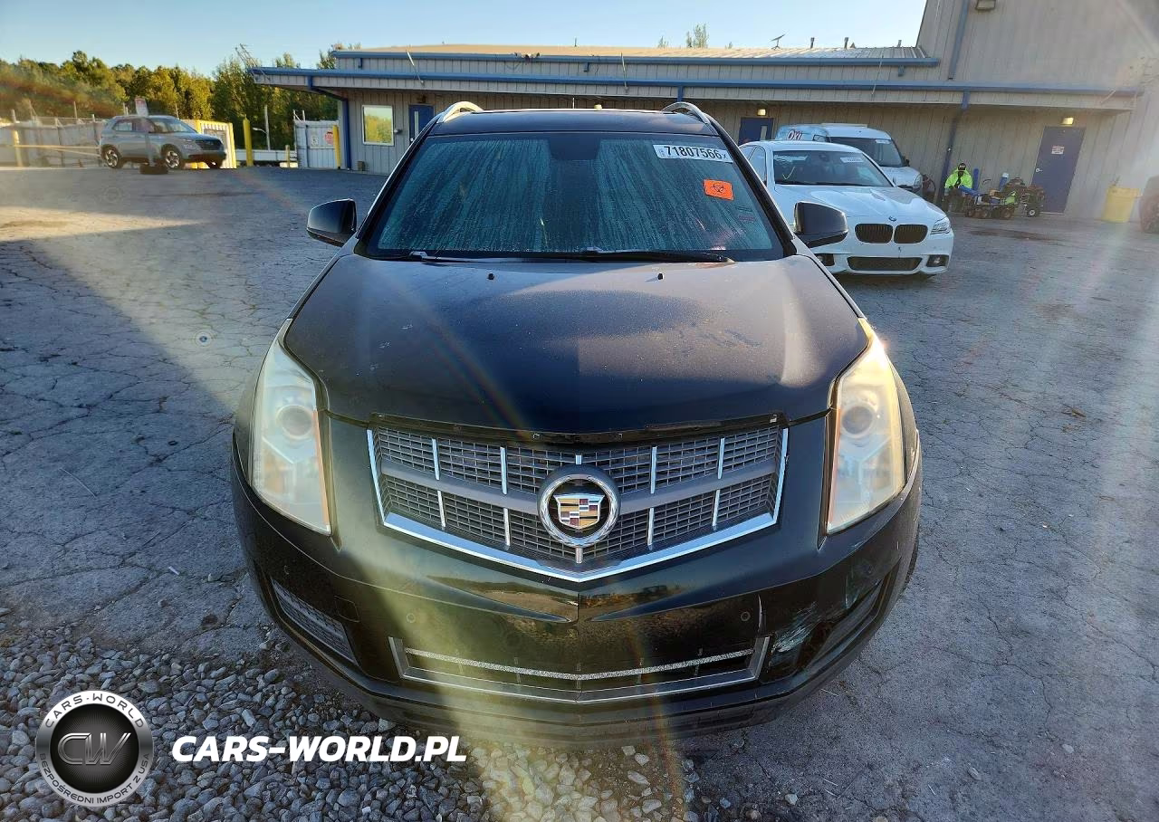 2010 Cadillac Srx Luxury Collection VIN:3GYFNAEY6AS573909 - 5