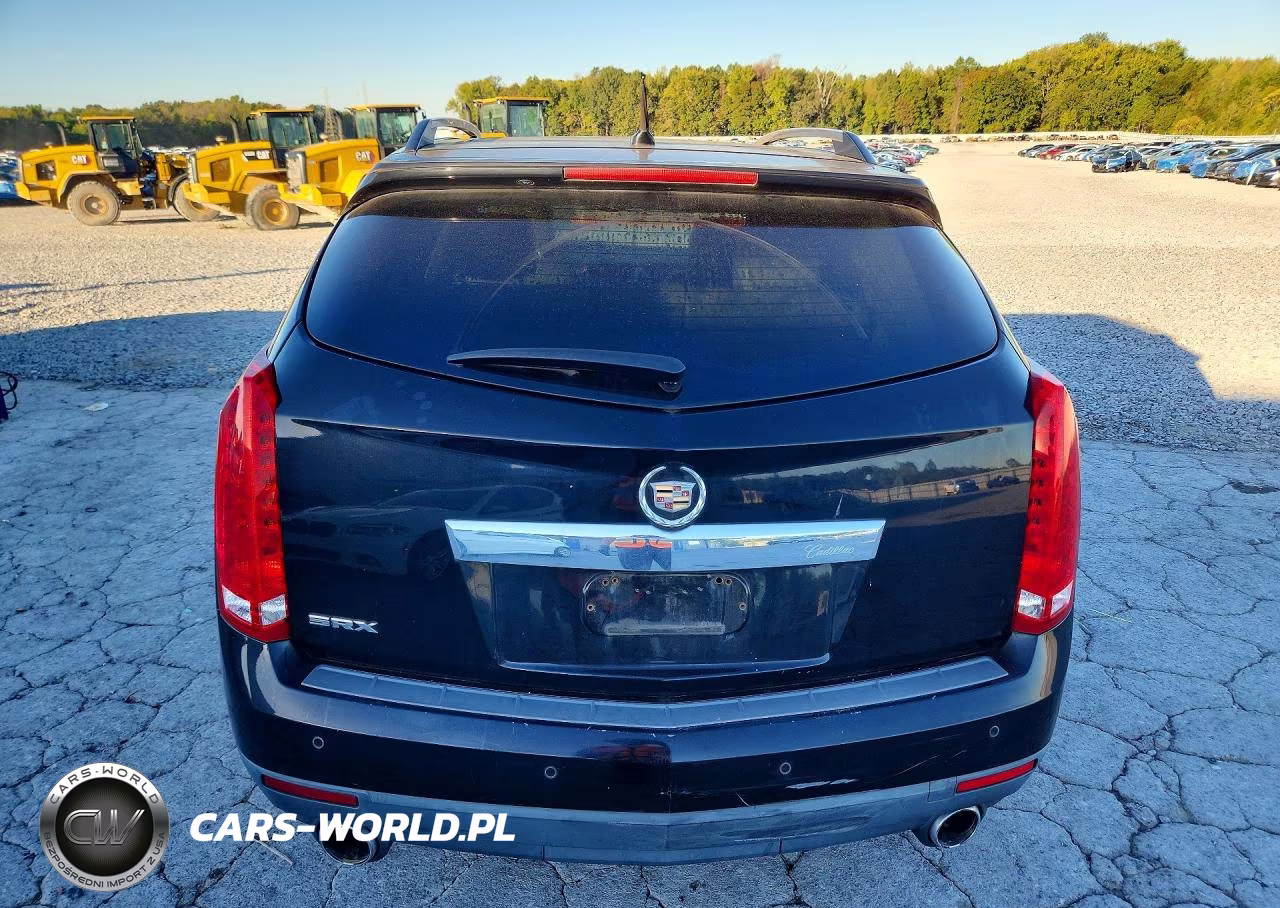2010 Cadillac Srx Luxury Collection VIN:3GYFNAEY6AS573909 - 6