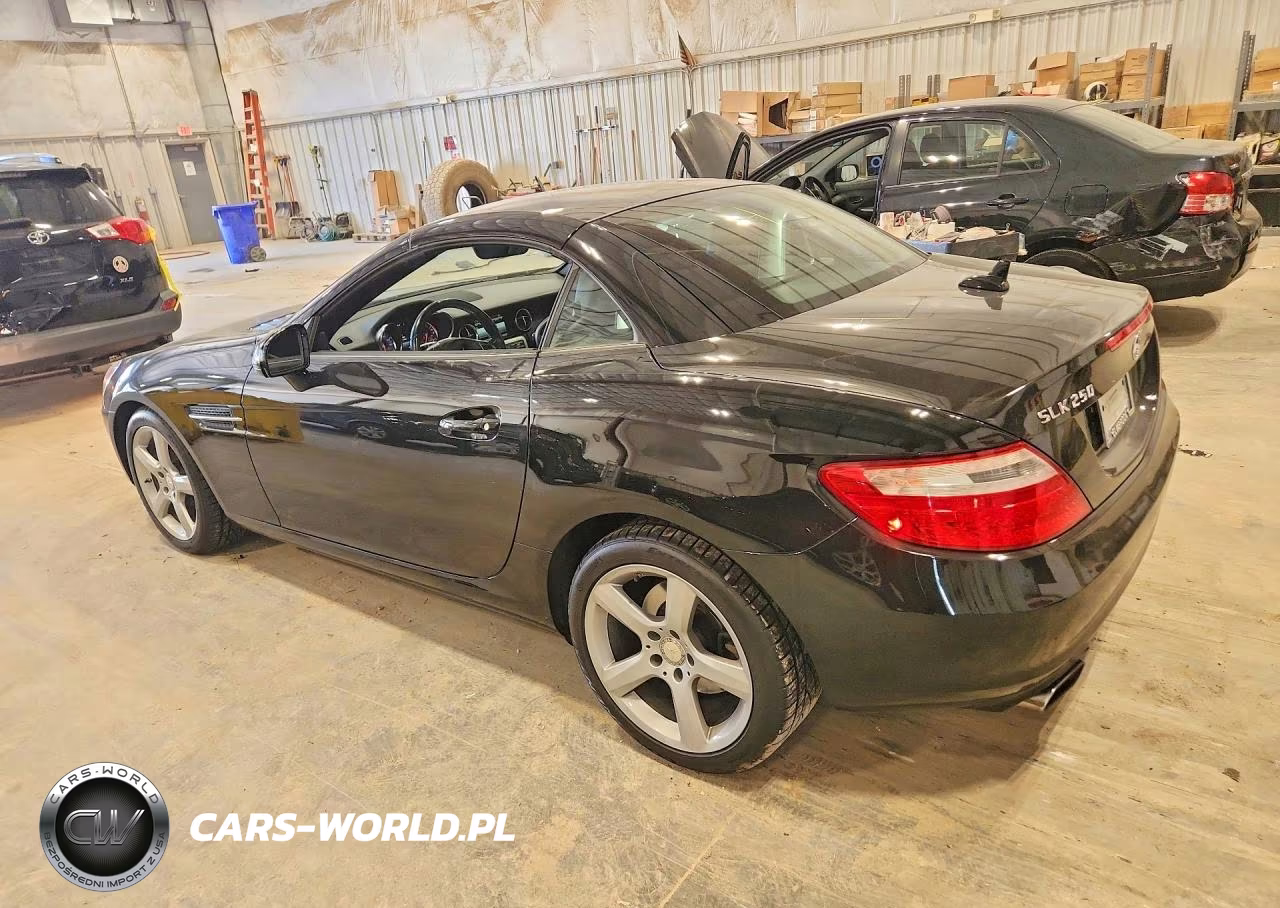 2015 Mercedes-Benz Slk 250 VIN:WDDPK4HA4FF098135 - 2