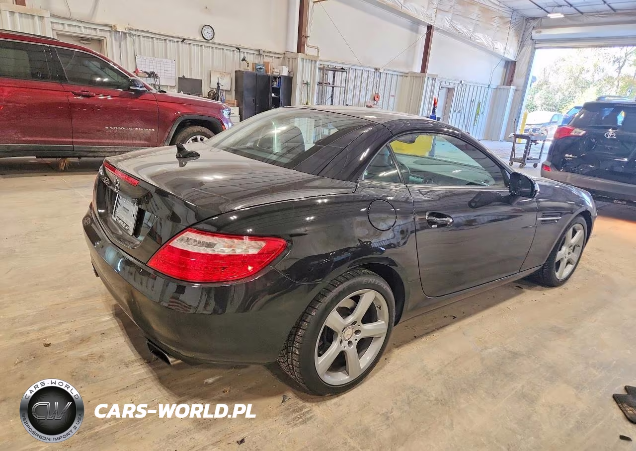 2015 Mercedes-Benz Slk 250 VIN:WDDPK4HA4FF098135 - 3